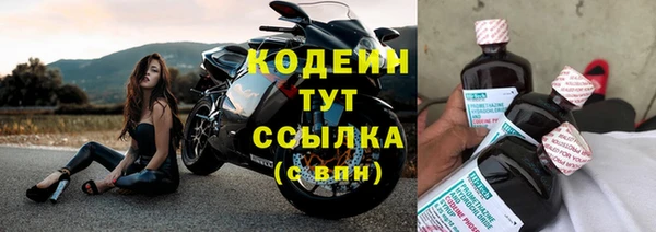 гидра Няндома