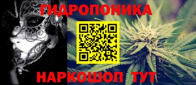 spice Кунгур