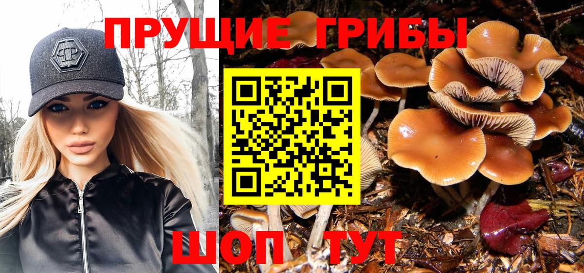 Псилоцибиновые грибы GOLDEN TEACHER  Вход с VPN  Ессентуки 